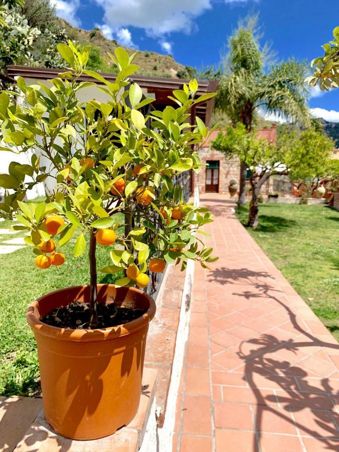جيارديني ناكسوس B&B Villa Vittoria المظهر الخارجي الصورة